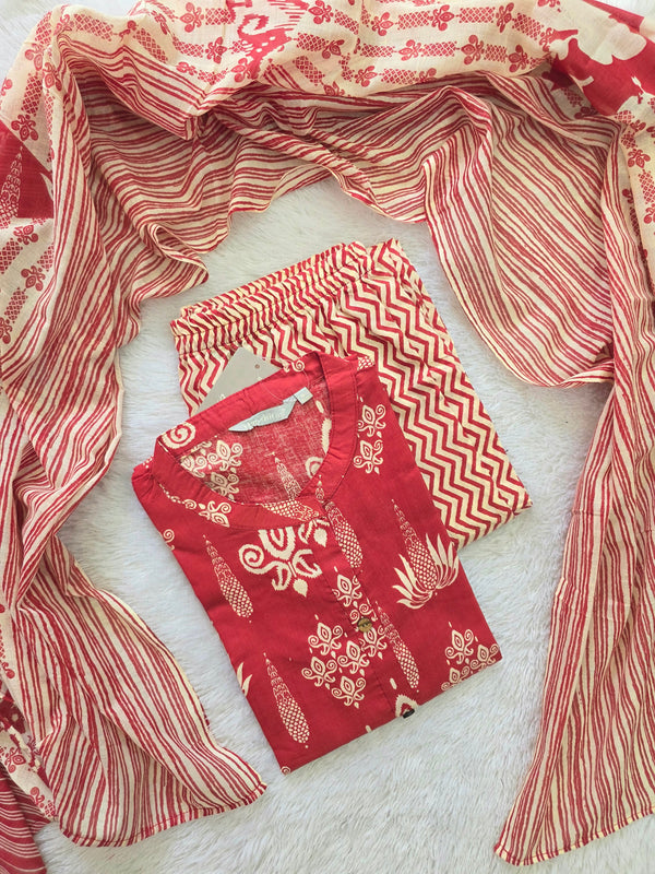 BUDGET FRIENDLY COTTON SALWAR SETS 0607